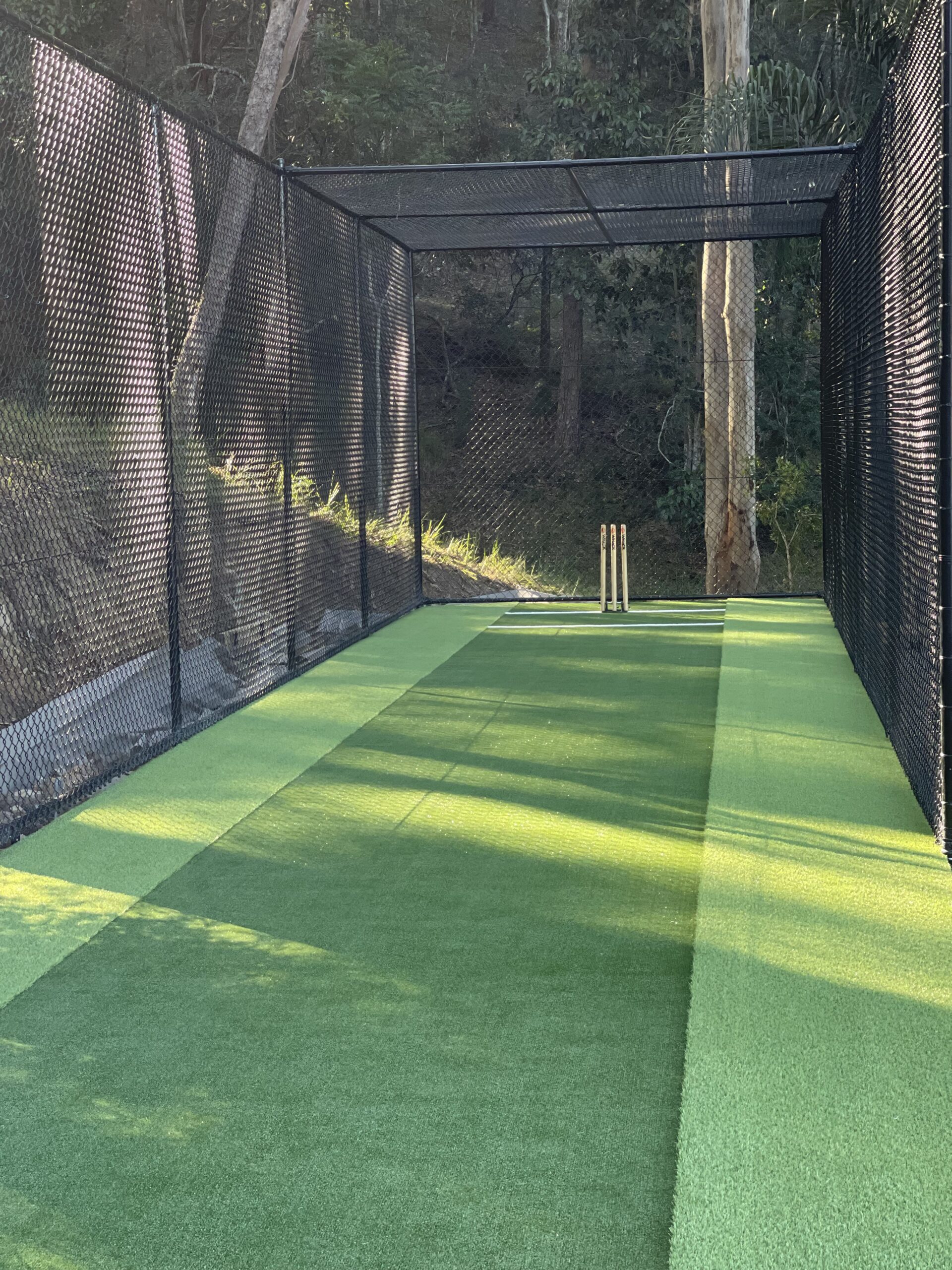 Cricket pitch with netting